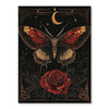 Dark Butterfly | Paint By Numbers Kit