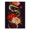 Dark Garden Snake | Paint-by-number Kit
