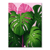 Pink Monstera | Paint-by-number Kit