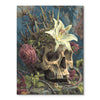 Skull in Lily-crown
