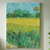 Field with Irises near Arles by Van Gogh | Paint By Numbers Kit