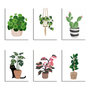 6 Mini Paintings|Botanical Set