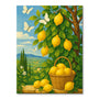 Lemon Harvest in Tuscany |  Paint By Numbers Kit