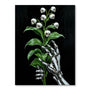 Skull Lily | Paint-by-number Kit