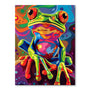 Abstract Frog | Paint-by-number Kit