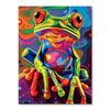 Abstract Frog | Paint-by-number Kit