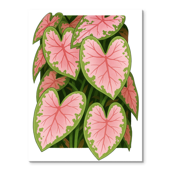 3D Caladium | Paint-by-number Kit