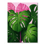 Pink Monstera | Paint-by-number Kit