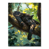 Panther at Rest
