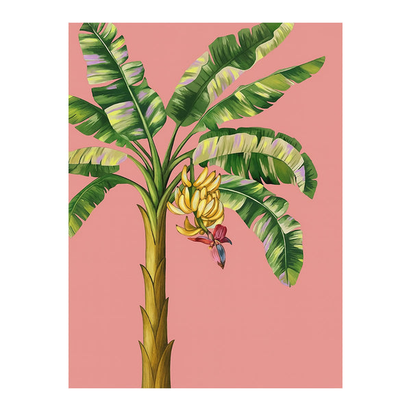 Banana Tree | Paint-by-number Kit